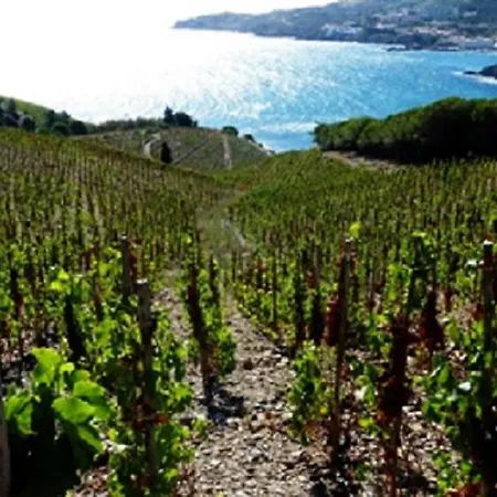 Breathtaking Costabrava Seaview 5m - Casa Artevida * Roses