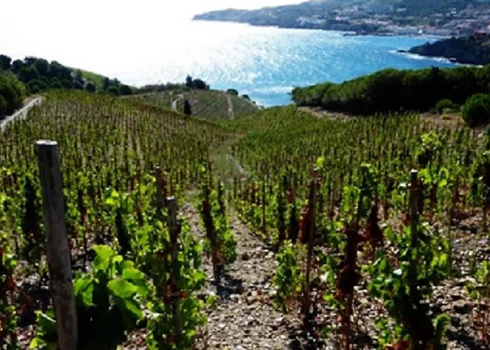 Breathtaking Costabrava Seaview 5m - Casa Artevida * Roses